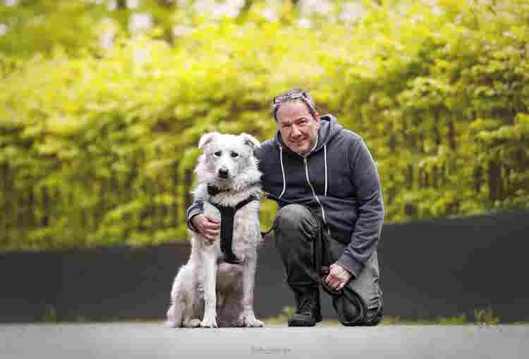 Banker with Dog searching for flat