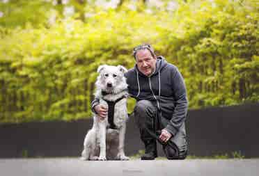 Banker with Dog searching for flat