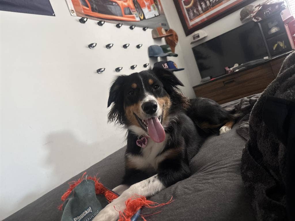 Looking for room in vero