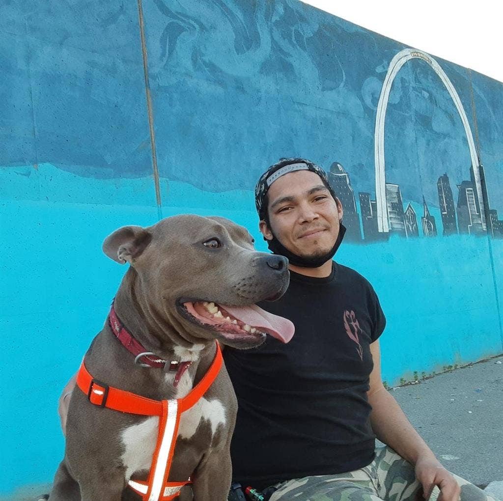 Seeking pet friendly rentals