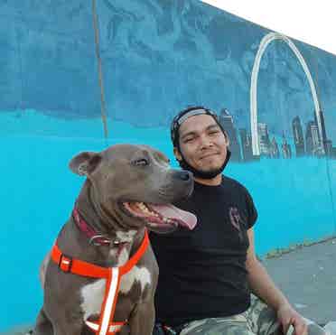 Seeking pet friendly rentals