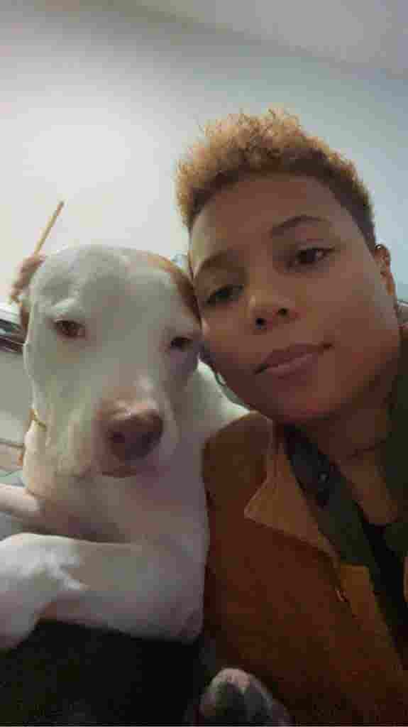 Hard Working Woman With A Dog