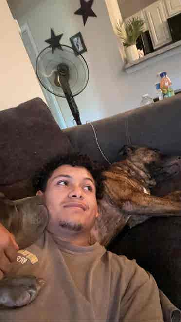 Looking for a roommate