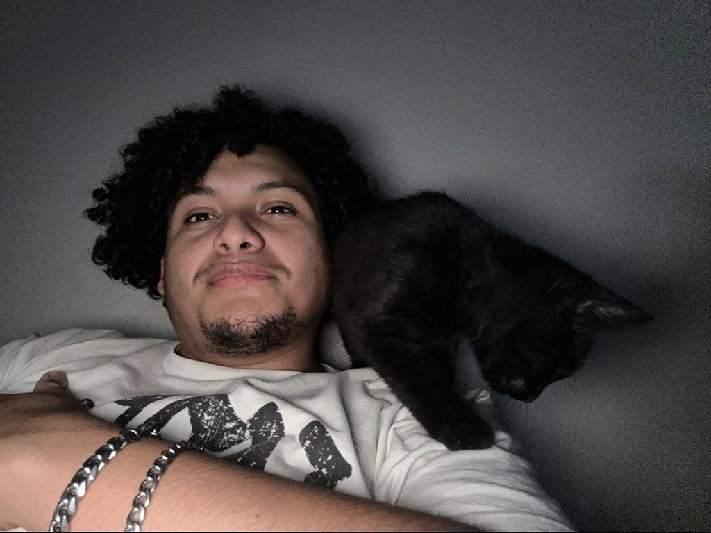 Looking for a roommate