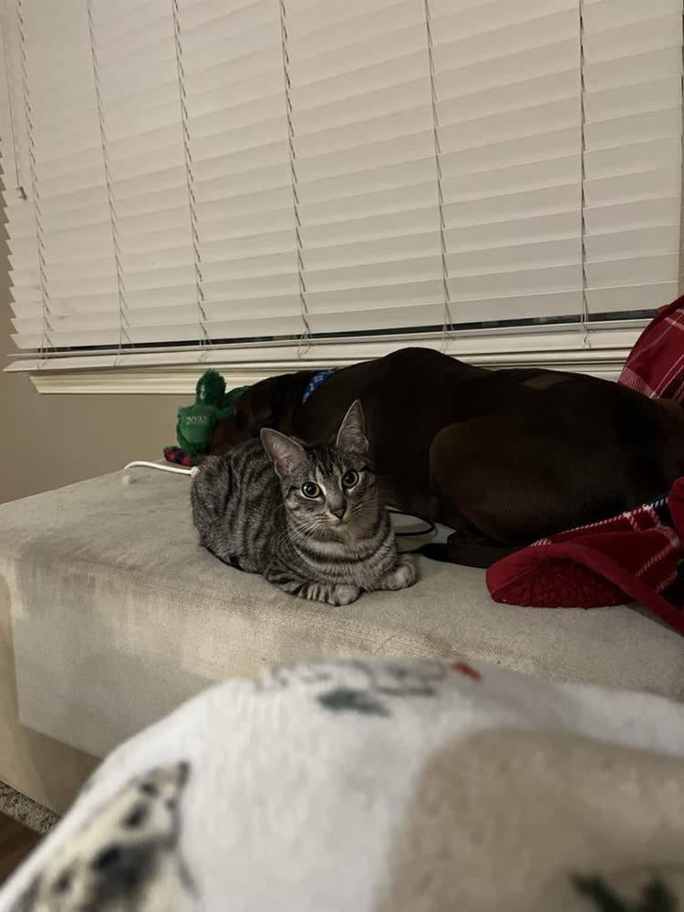 Looking for a room in an apartment
