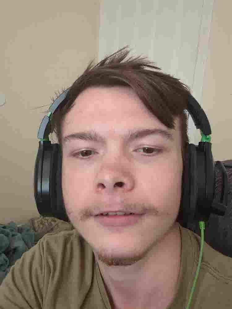 Looking for a roommate