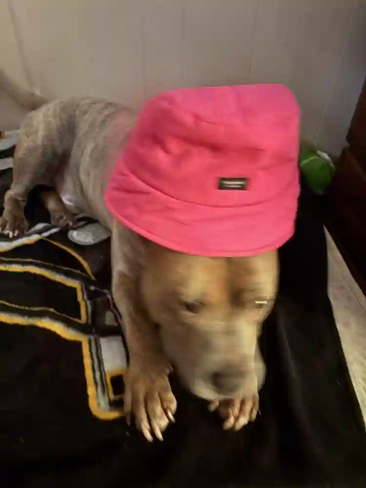 Looking for room to rent