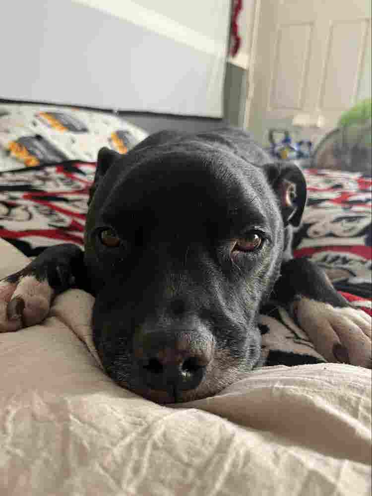Looking for room in Long Beach
