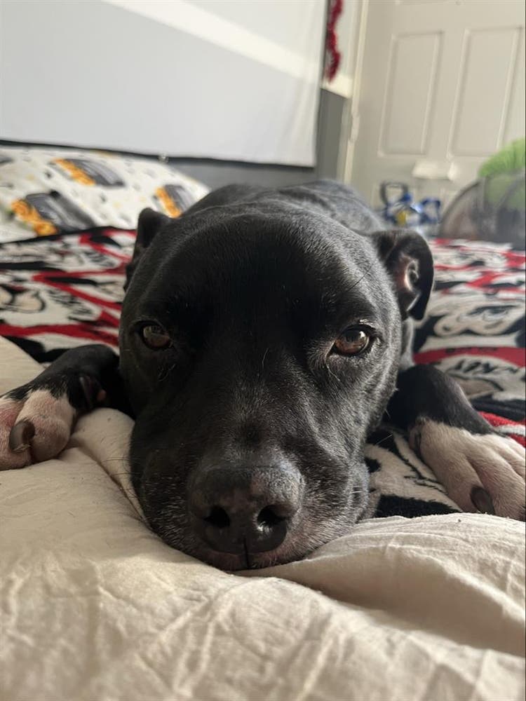 Looking for room in Long Beach