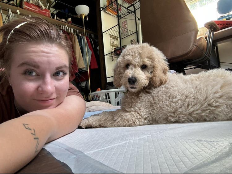Looking for a roommate(s)