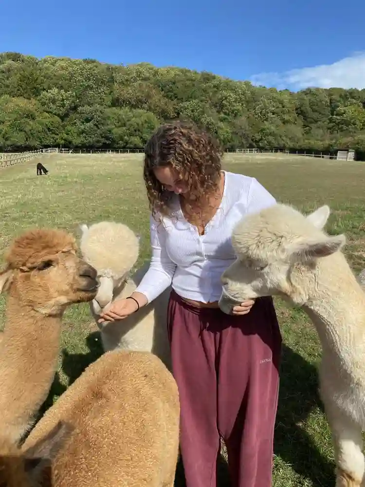 Roommate or flat share