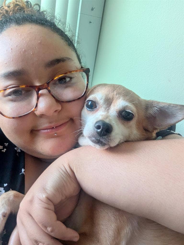 Looking for a Dog loving, LGBT home
