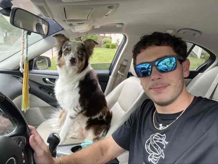Dylan