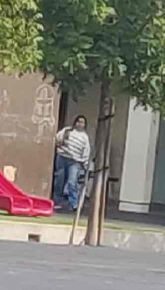 Mez