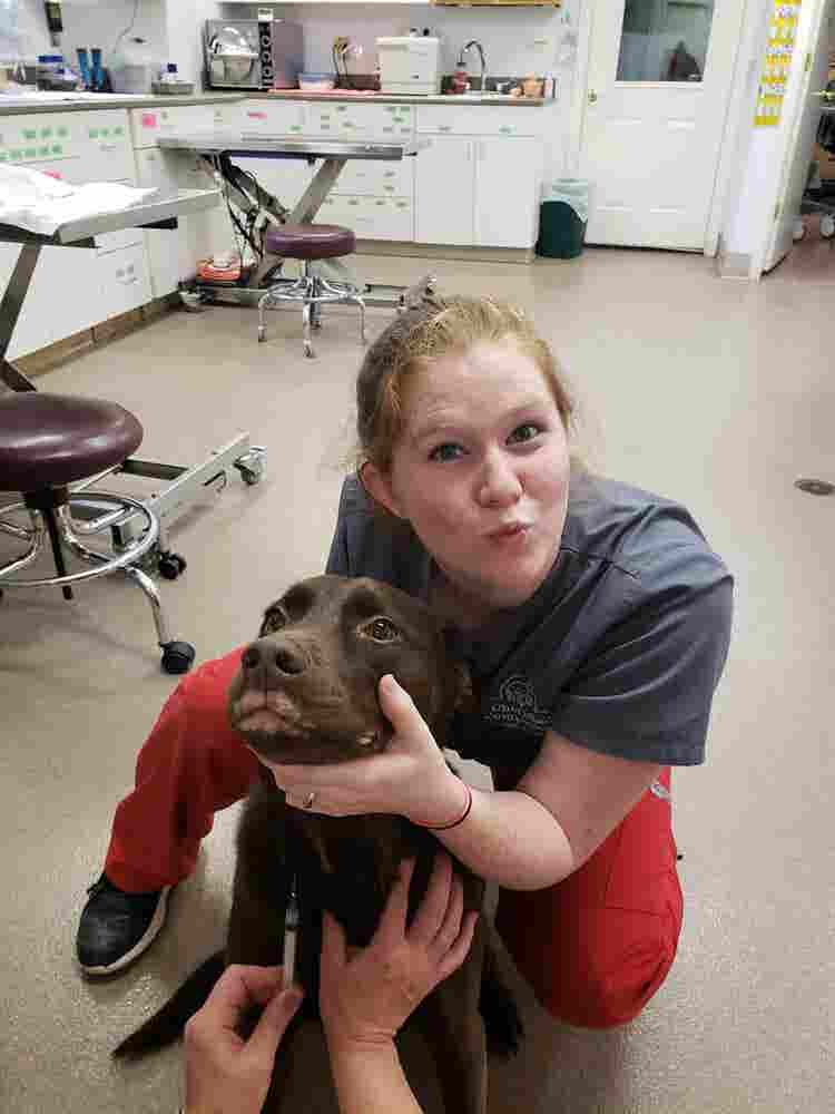 Vet student looking for a room