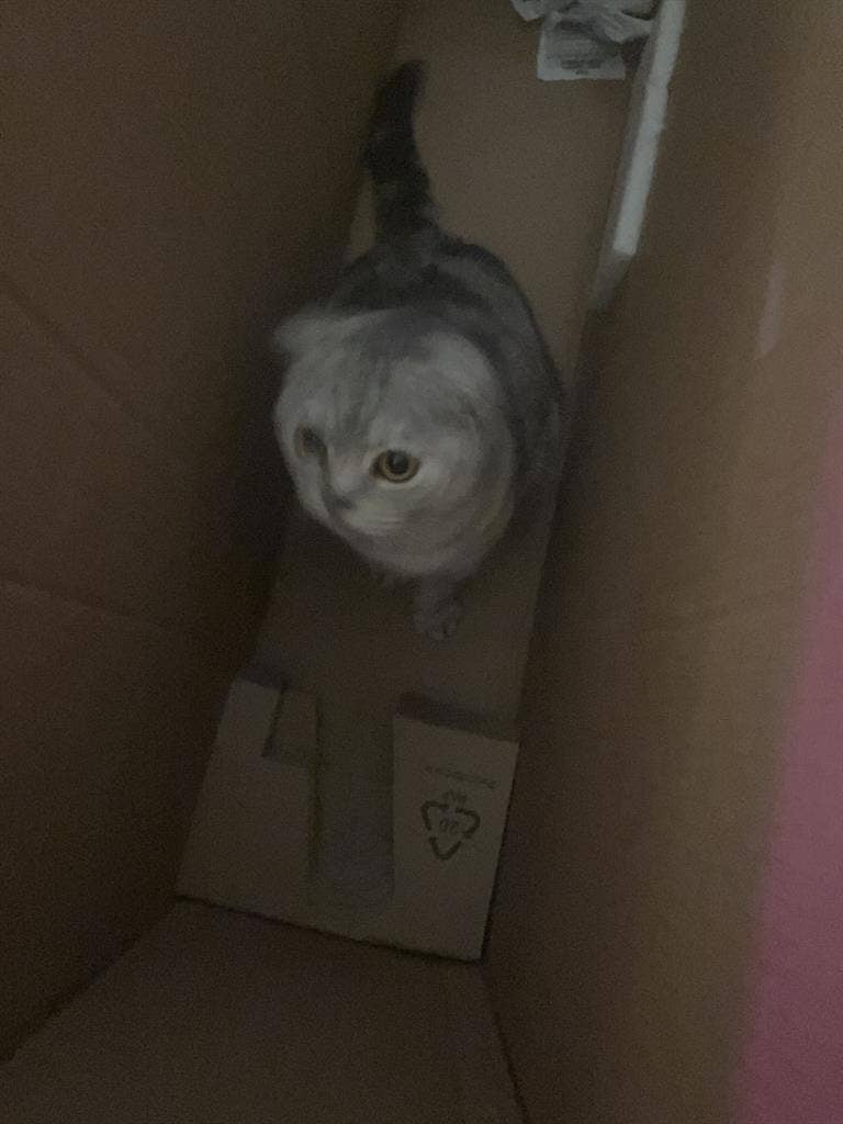 Moving in january!