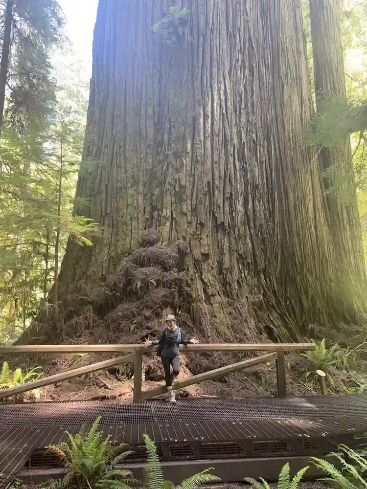 Seeking Room for Short-Term