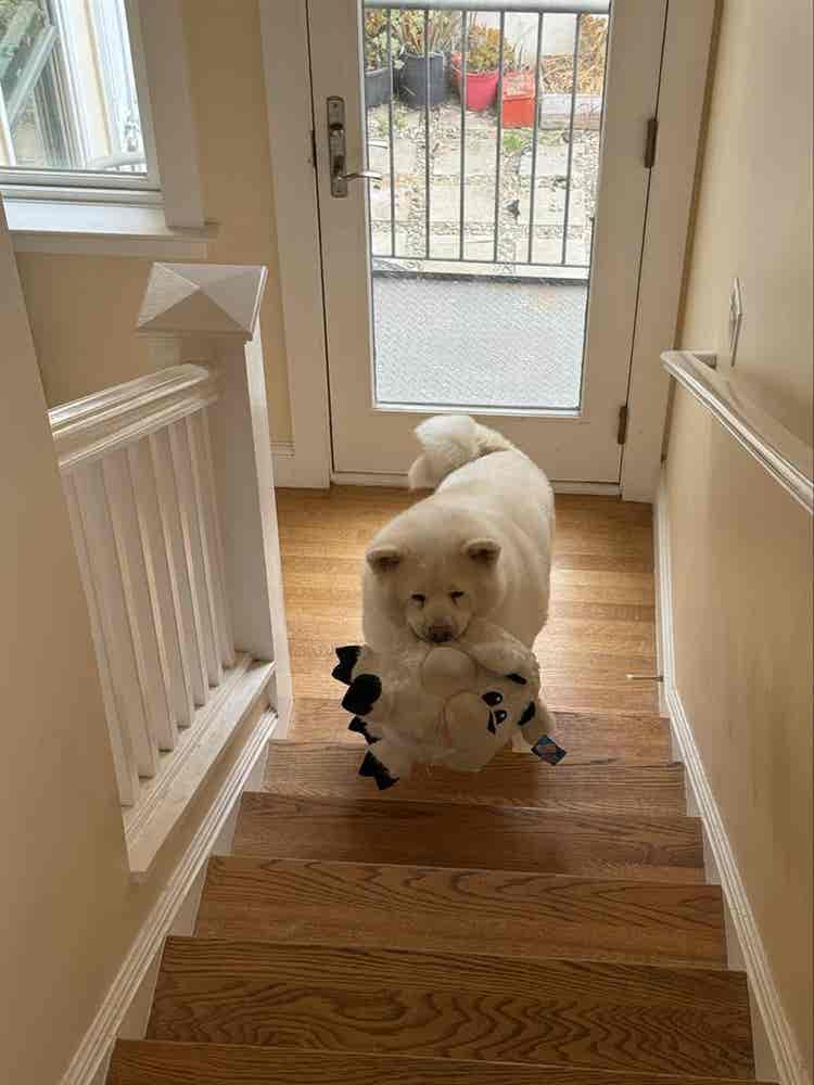 victor