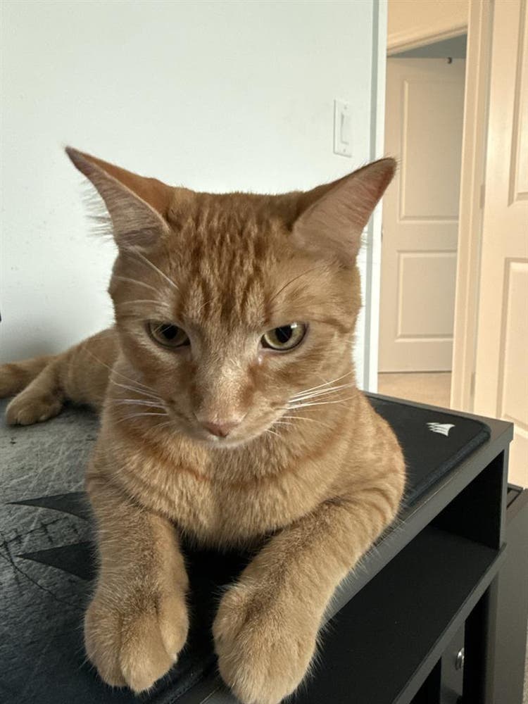 Looking for a room or roommate