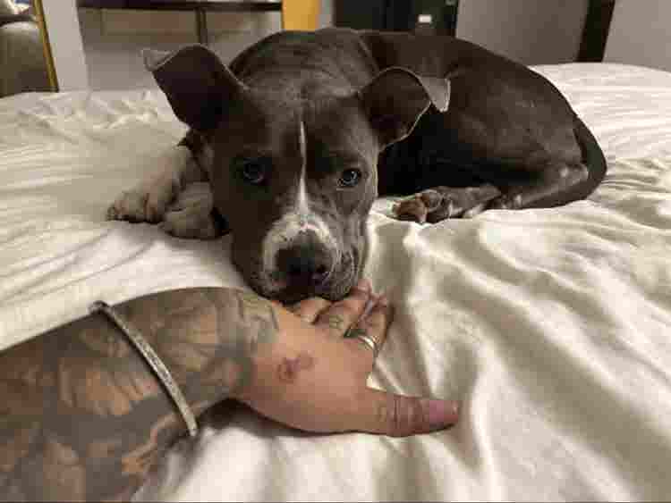 Female, Lookin2RentARoom, DOGMOM 🩵