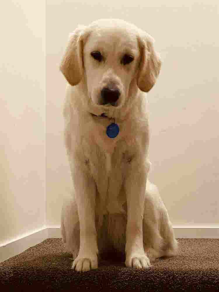 Furnished 1 Bedroom with bathr