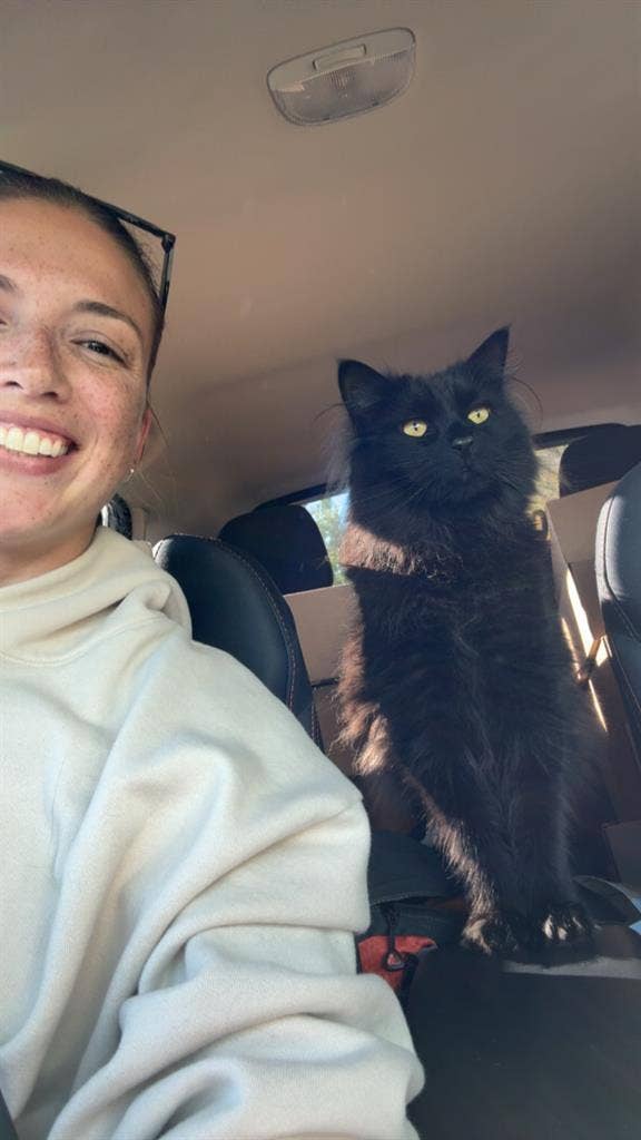 Small business owner & cat