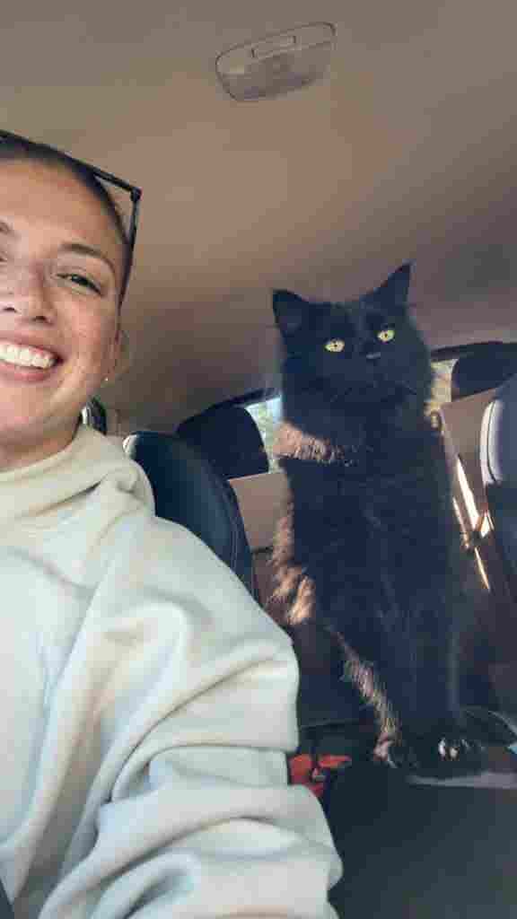Small business owner & cat