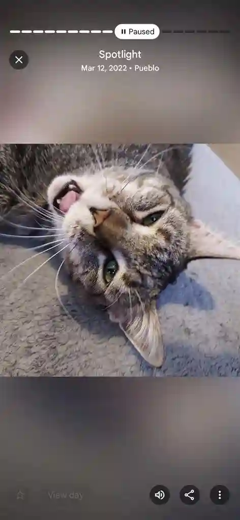 Looking for a private space to rent