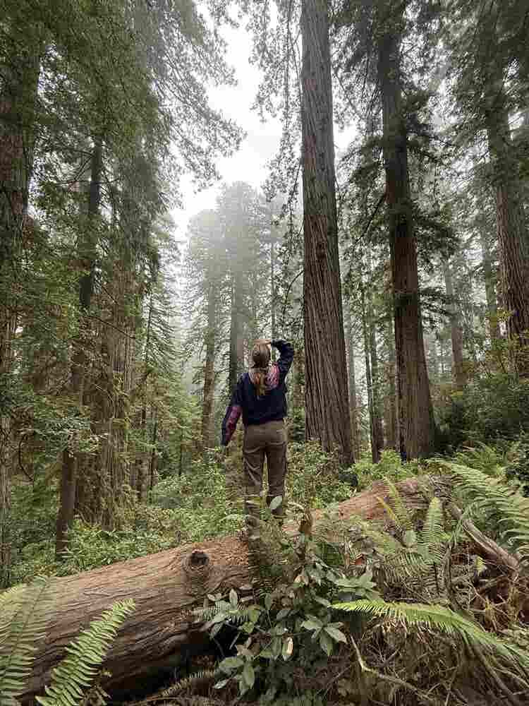 Roommates + Room Needed