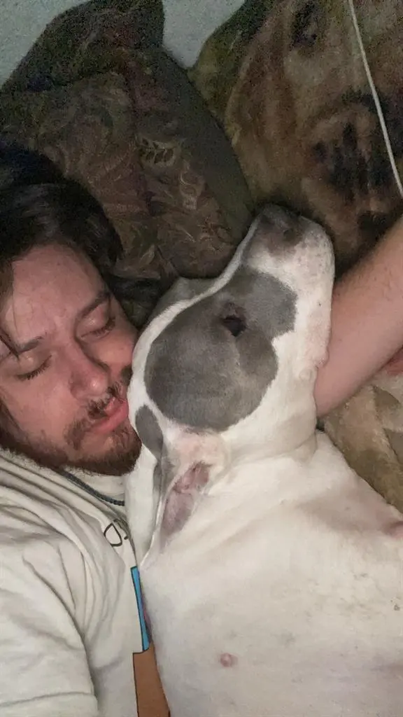 Looking for roommate cool with dogs