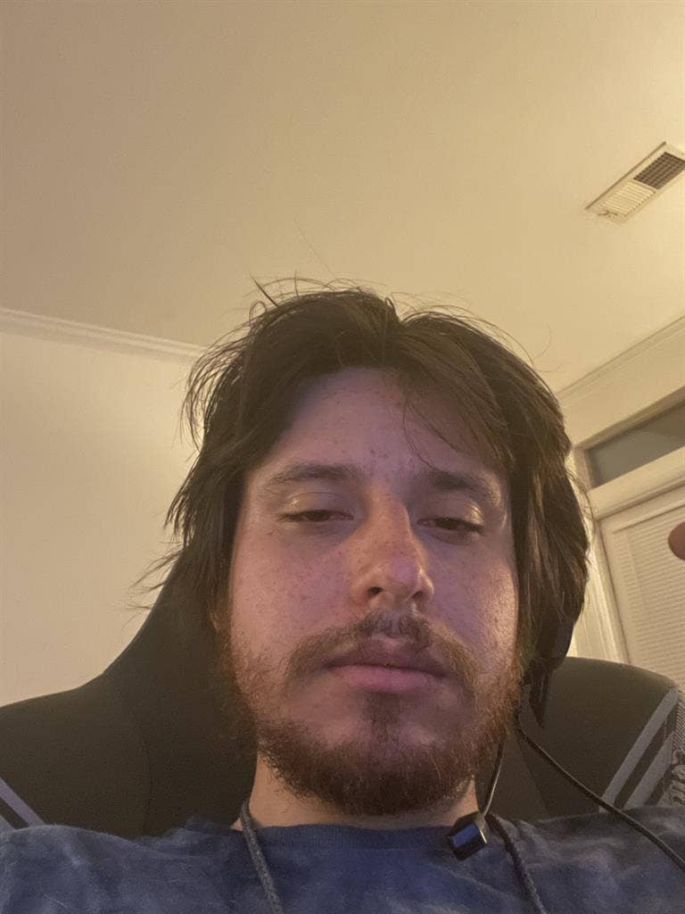 Looking for roommate cool with dogs