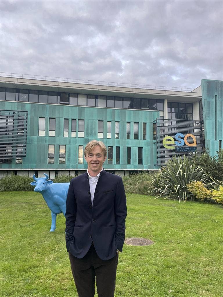 Looking for a bedroom