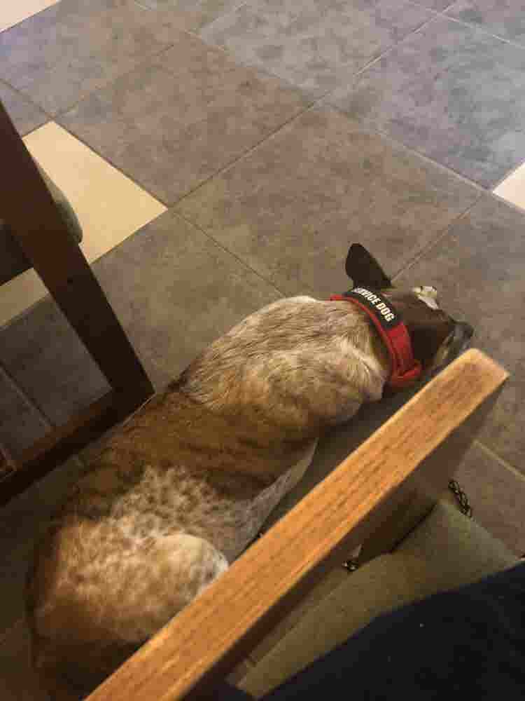 Looking for room to rent