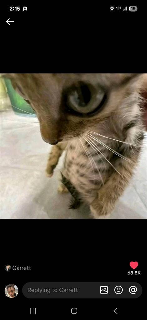 Hi I'm seeking a safe place to live