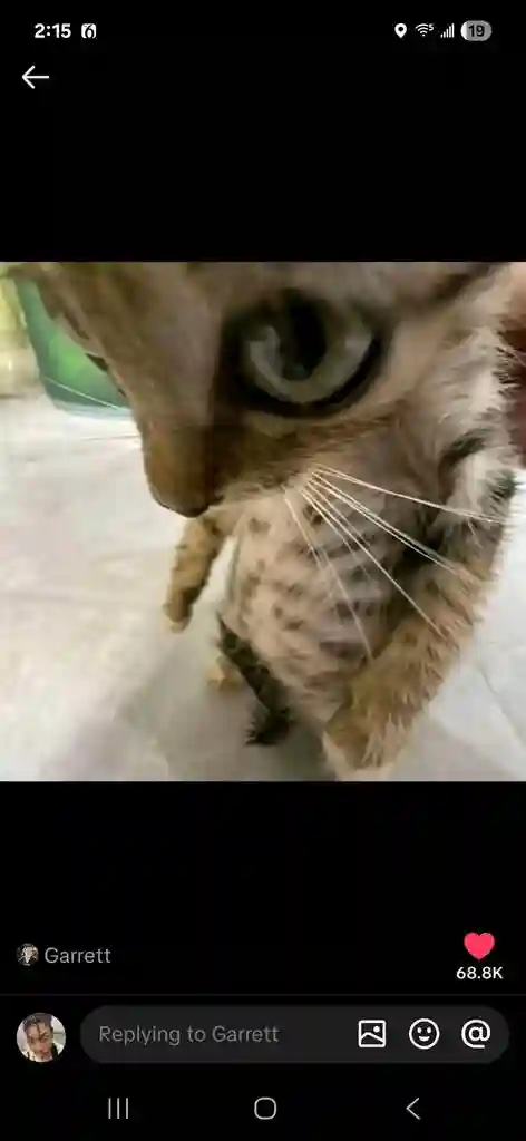 Hi I'm seeking a safe place to live