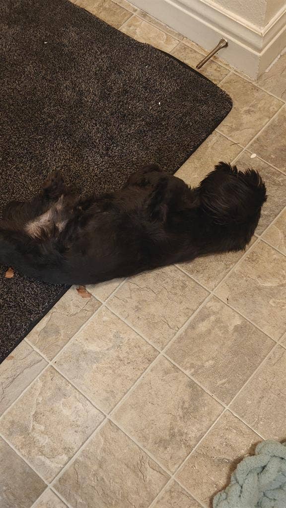 Looking for a room to rent.