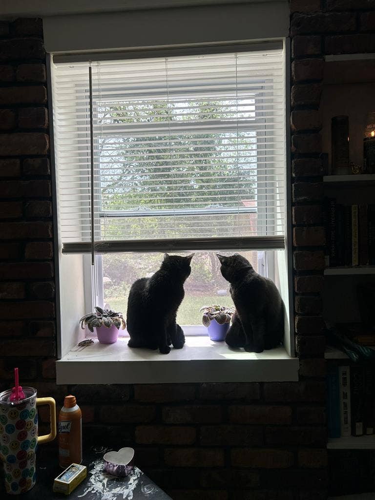 Looking for a room to rent.