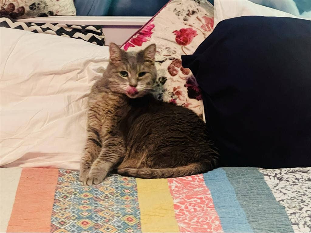 Hello? Is it me you're looking for?