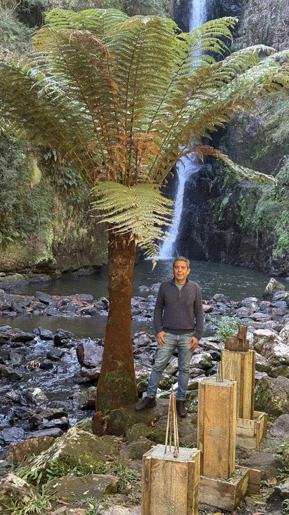 Doctorate student at FIU.