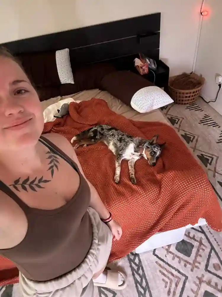 Need Room or Roommate