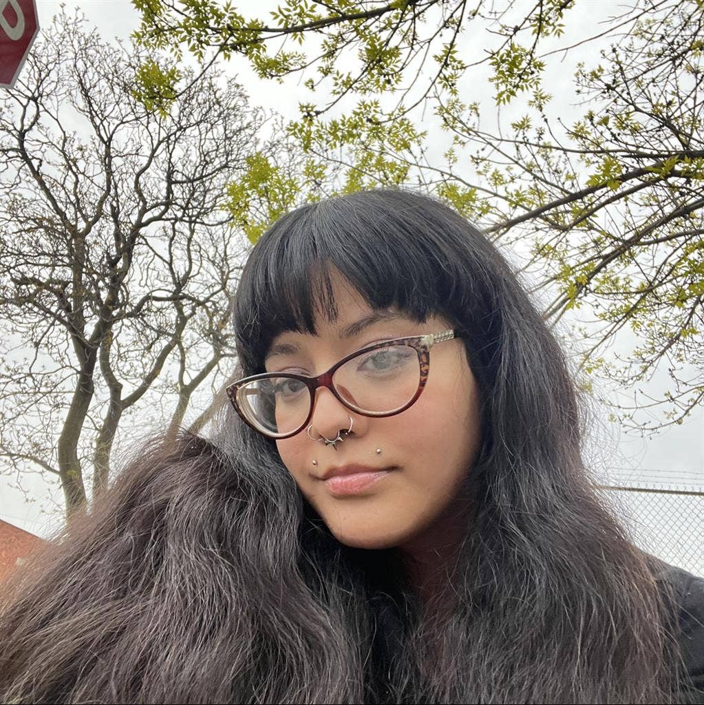 McKinley park, bridge port, pilsen