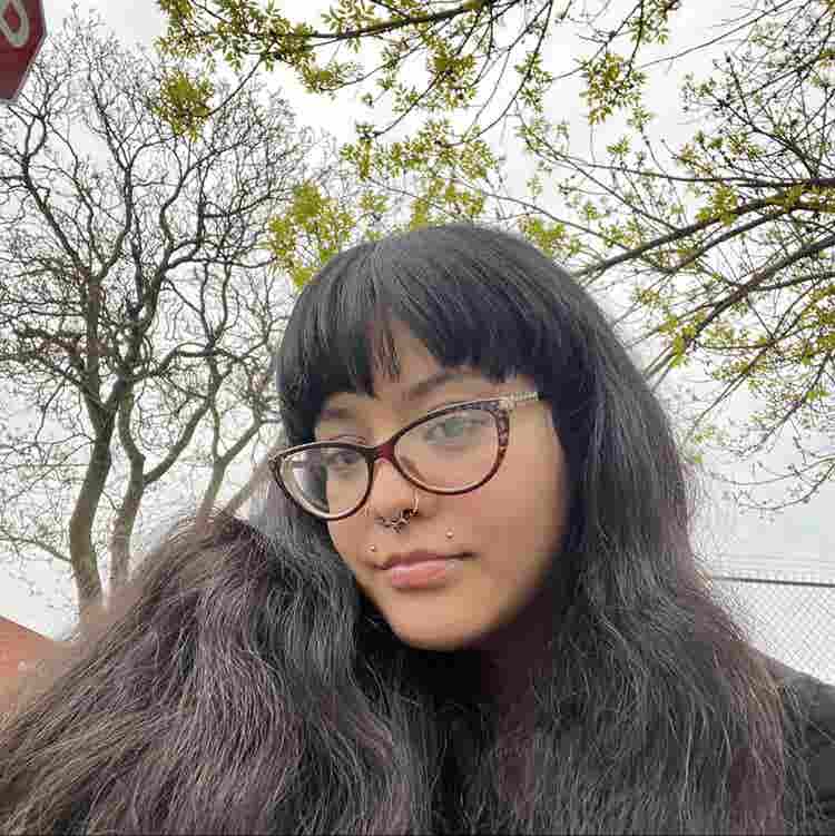 McKinley park, bridge port, pilsen