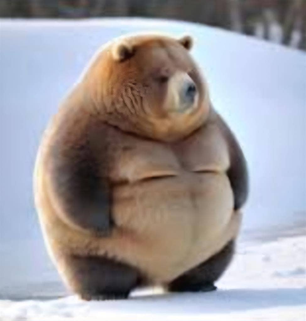 Looking to be a roommate