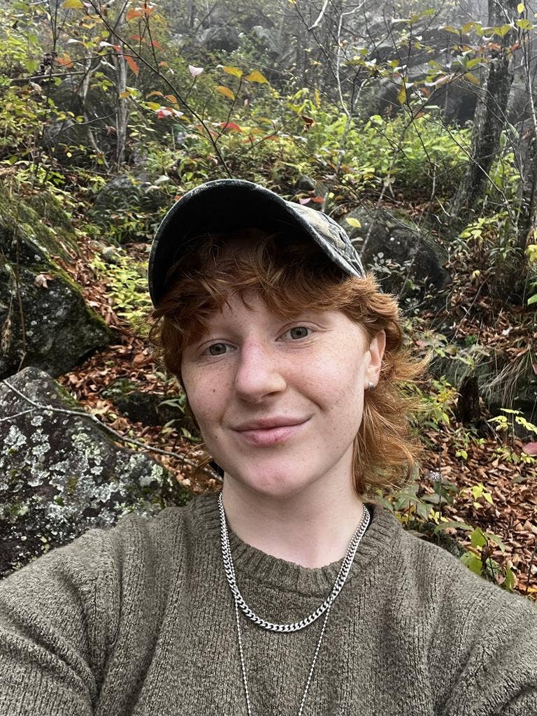 Looking for a room near Brevard