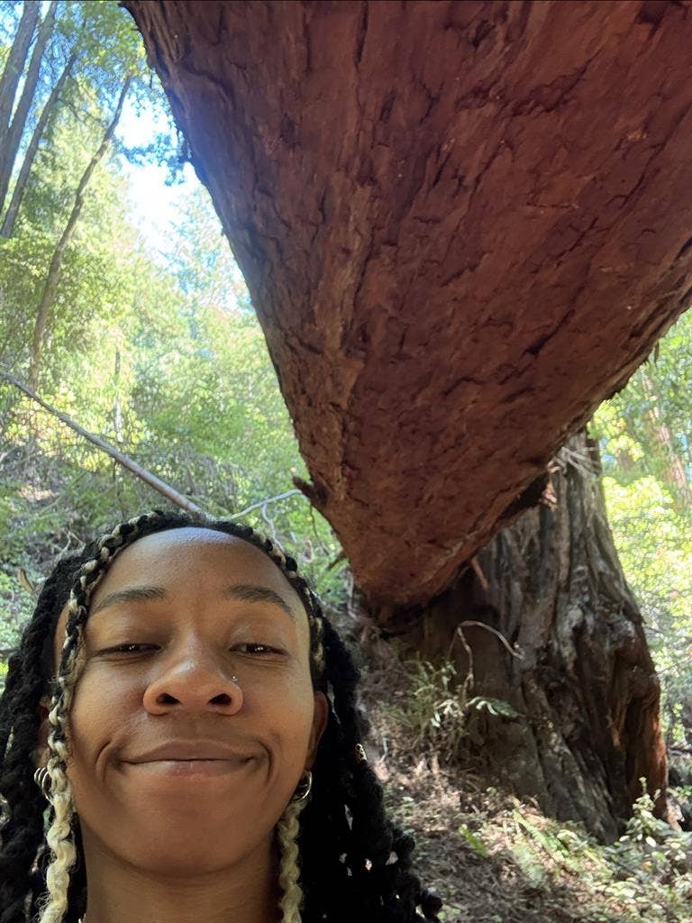 $ utilities included