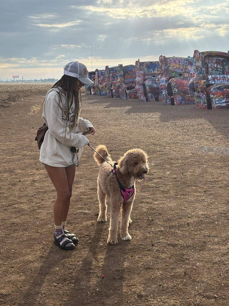 with a sweet 3yo labradoodle