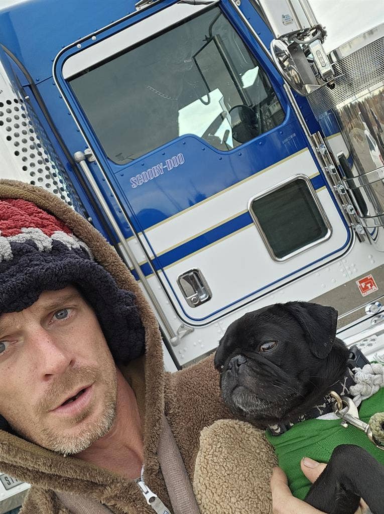 Disabled worker seeks co habitant