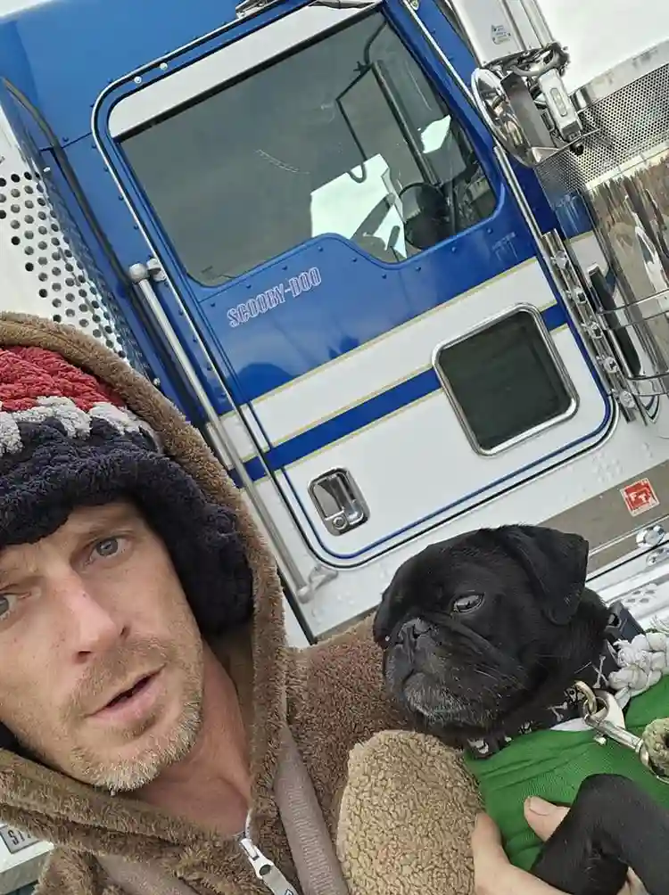 Disabled worker seeks co habitant