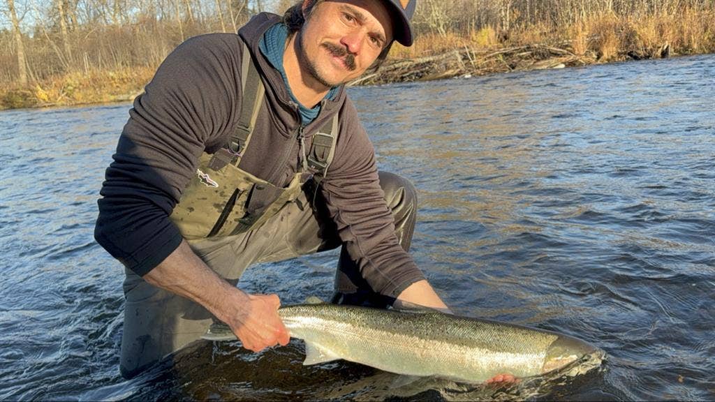 Looking for a room to rent Dec-May