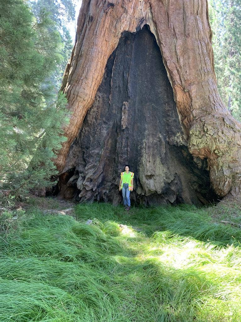 Room wanted-Quiet Professional